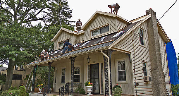 Best Roof Repair Services  in Eaton, IN